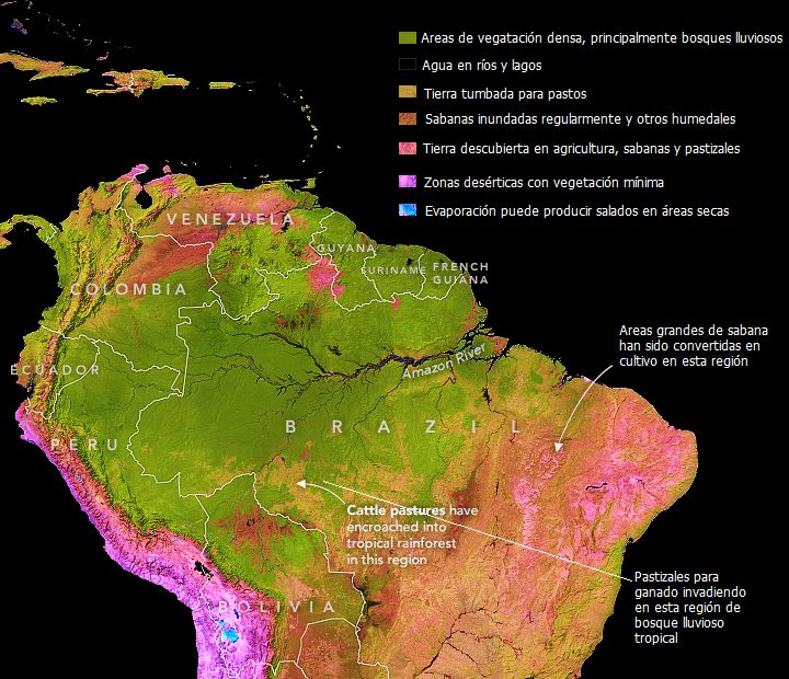 cobertura vegetal de Amazonia