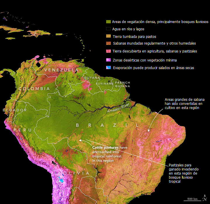 Mapeando la Amazonia – Punto Azul Pálido
